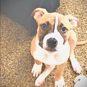 Meet your Posher, Markus